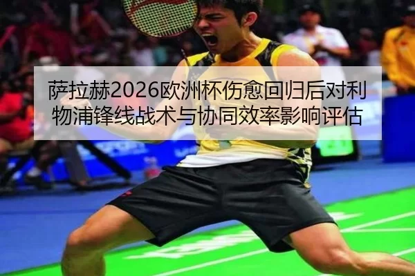 sa-la-he-ou-zhou-bei-shang-yu-hui-gui-hou-dui-li-wu-pu-feng-xian-zhan-shu-yu-xie-tong-xiao-lv-ying-xiang-ping-gu-2-570.jpg